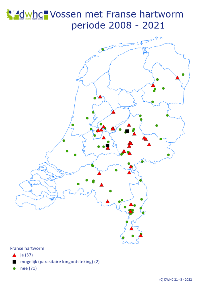 kaart met verspreiding van Franse hartworm (Angiostrongylus vasorum) bij vossen