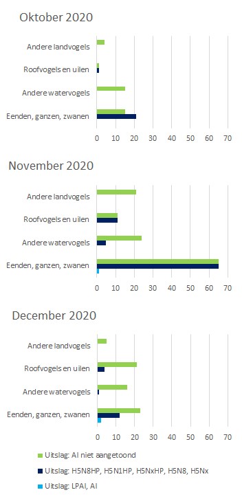 Hoog-pathogene vogelgriep nog steeds aanwezig onder wilde vogels