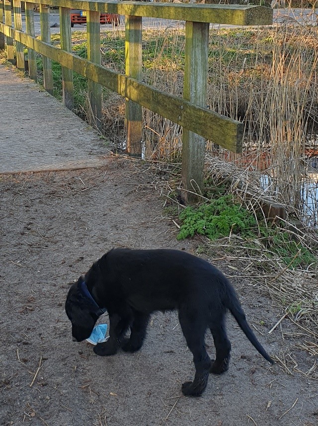 Help mee: voorkom problemen door rondzwervende mondkapjes!