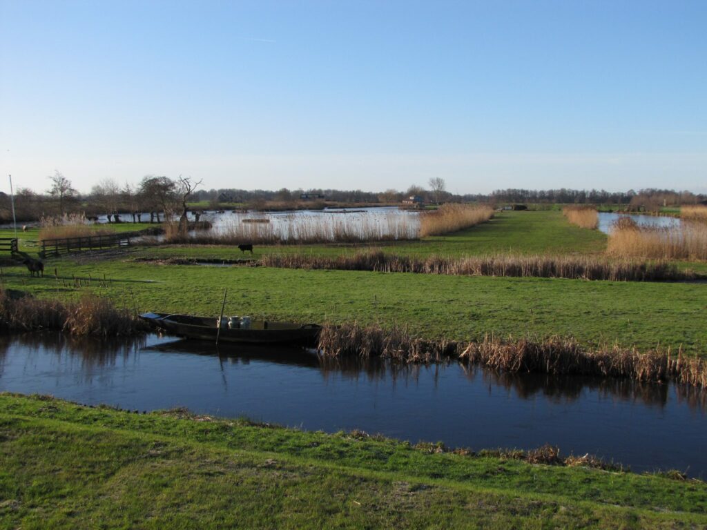Bever met afwijkend gedrag door een tumor
