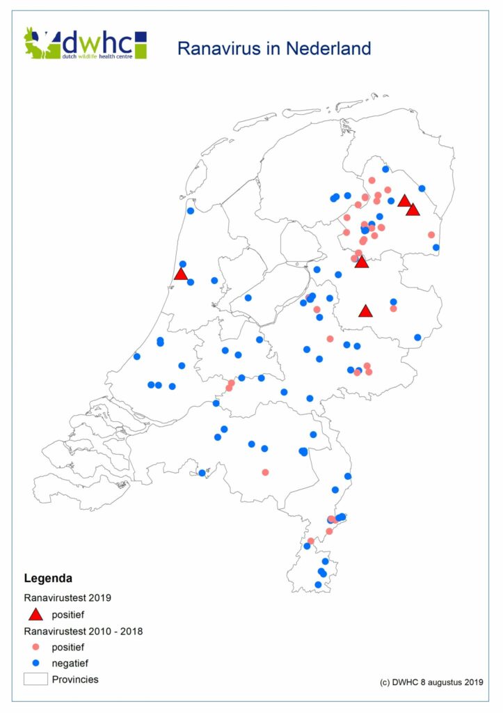Ranavirus vastgesteld in Drenthe, Overijssel en Noord-Holland