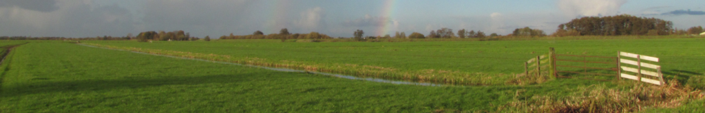 NCOH: Vogel besmet met westnijlvirus