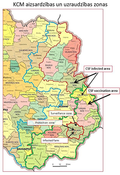 Nieuwe uitbraak van Klassieke varkenspest in Letland