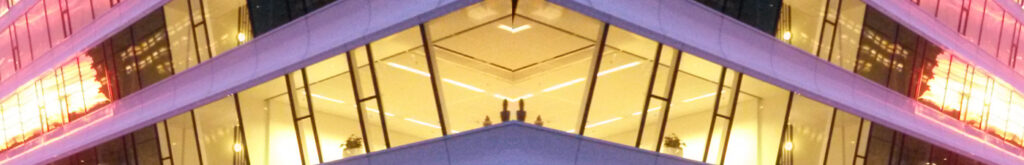 Chigaco: Minstens 1000 vogels vliegen zich dood tegen hoog gebouw